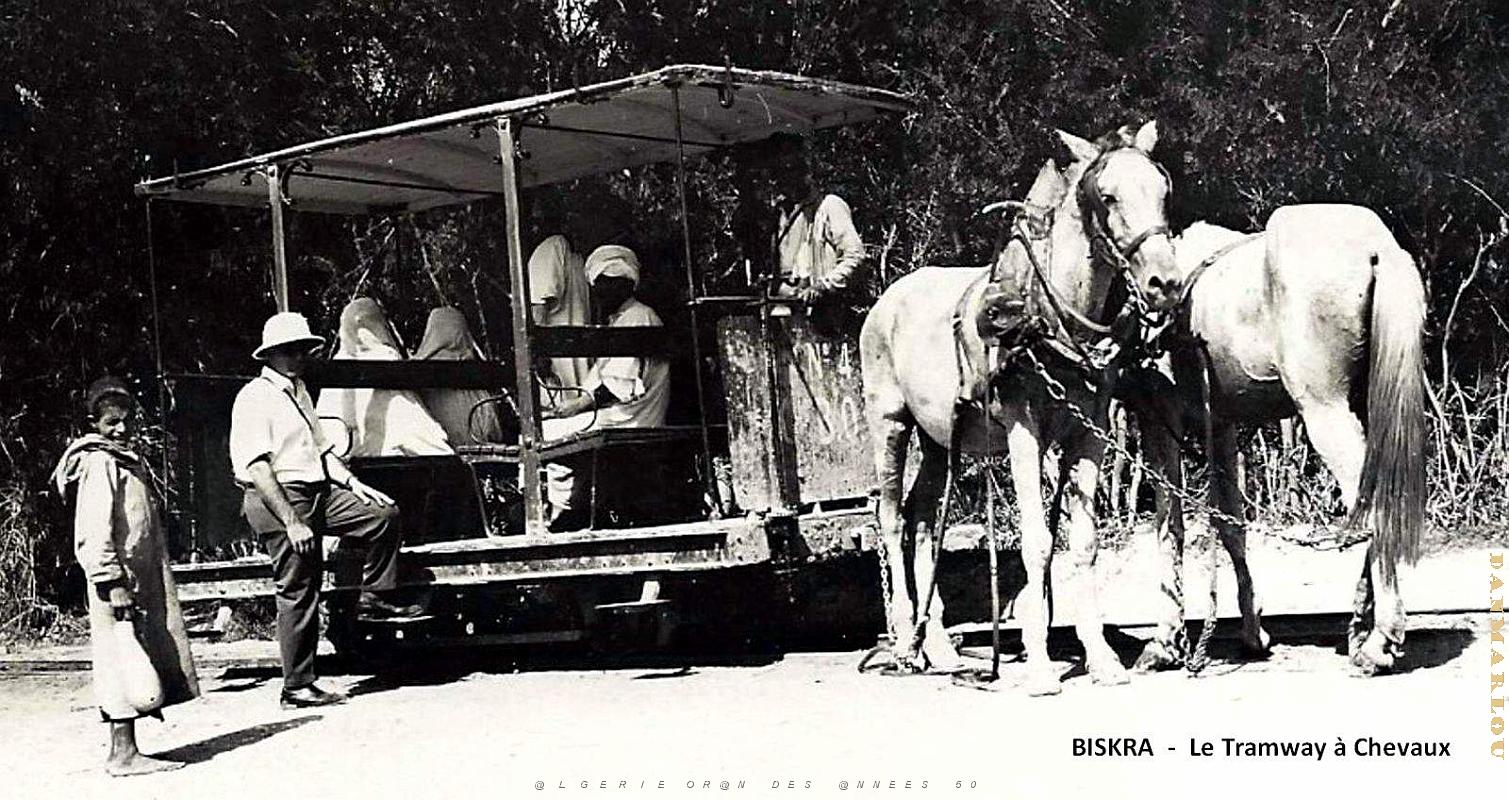 Biskra - Tramway.jpg